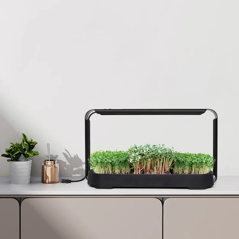 Self-Watering Planter - Système de culture hydroponique à arrosage