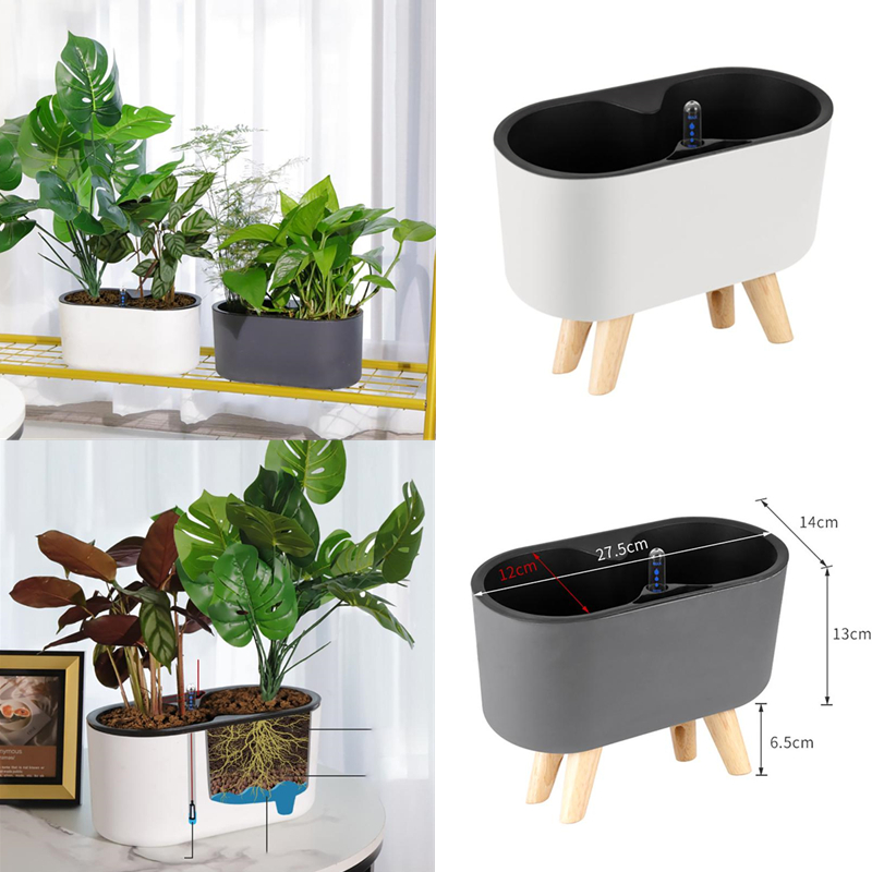 Automatic Plant Waterer - Plante d'Nikavec Indicateur de Jambe en