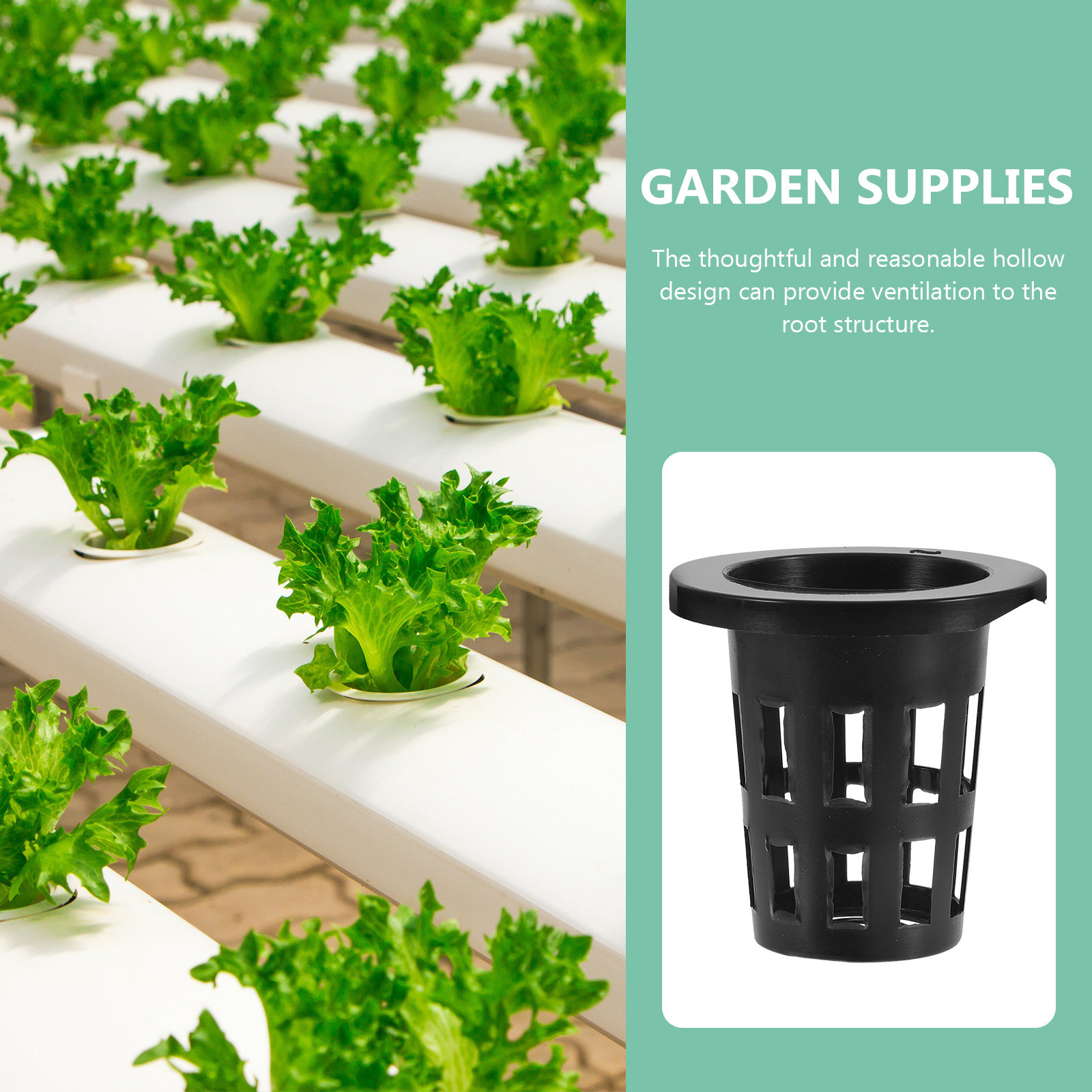 50 pièces de paniers de planta - Gardening Tools Vegetables avis et prix