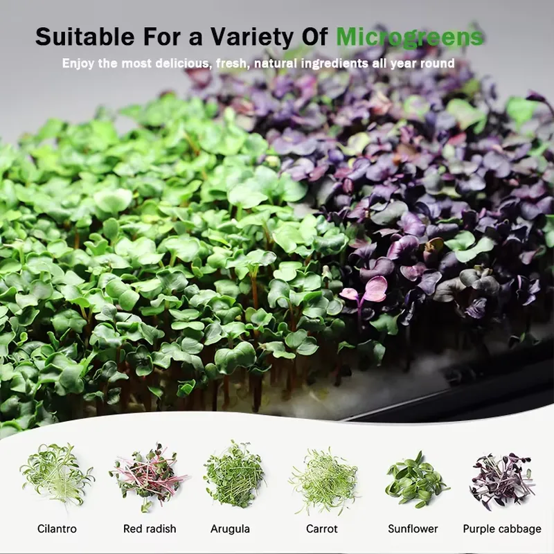 Système de culture hydroponiqu - Self-Watering Planter avis et prix