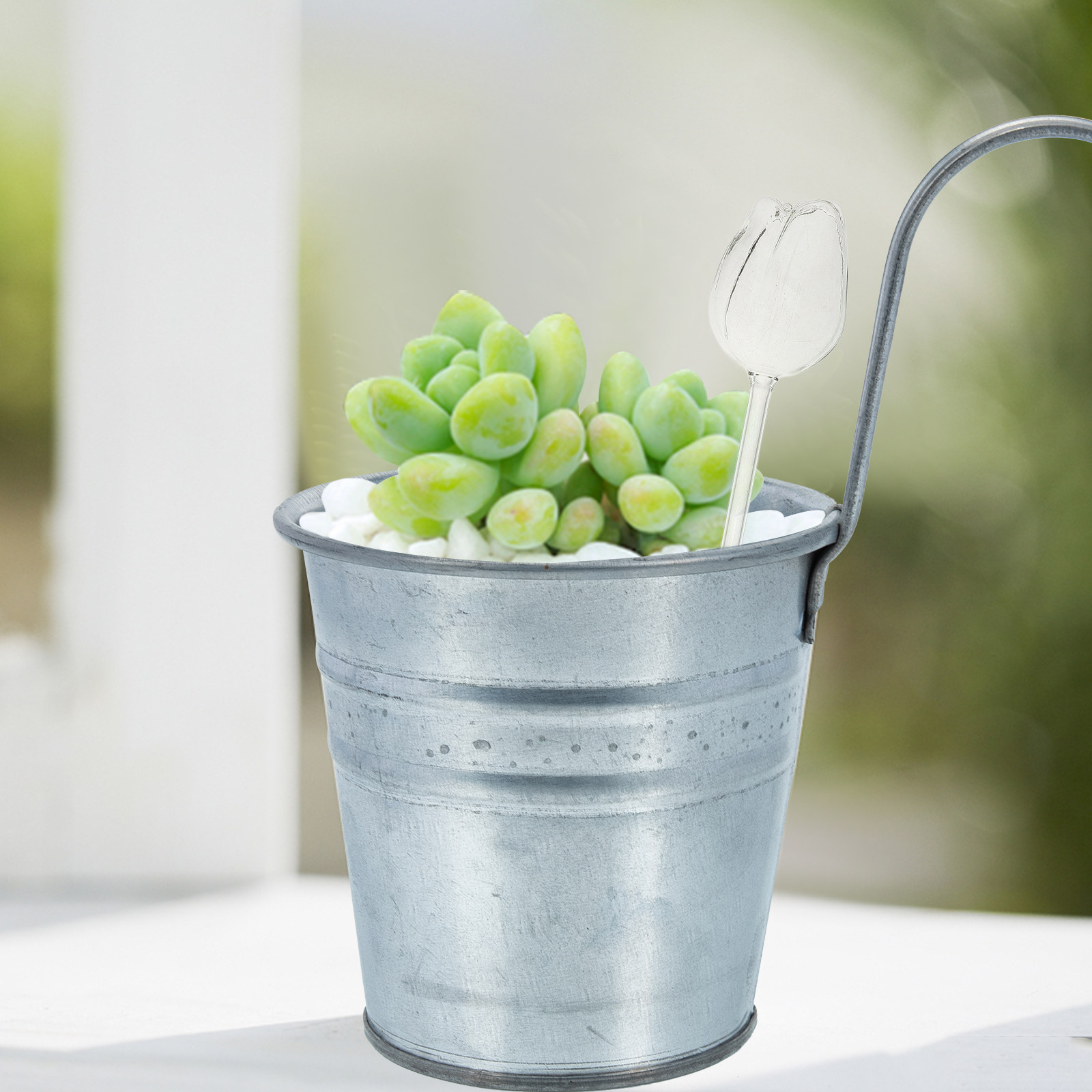 2 pièces, globes d'arrosage en - Self-Watering Planter avis et prix