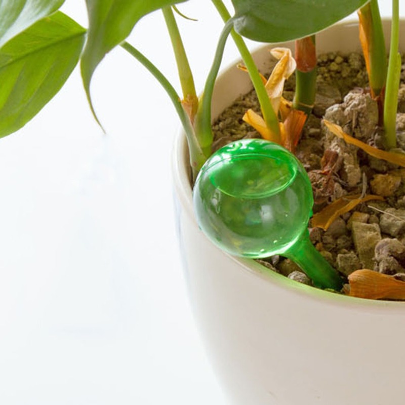 Distributeur automatique d'eau - Automatic Plant Waterer avis et prix