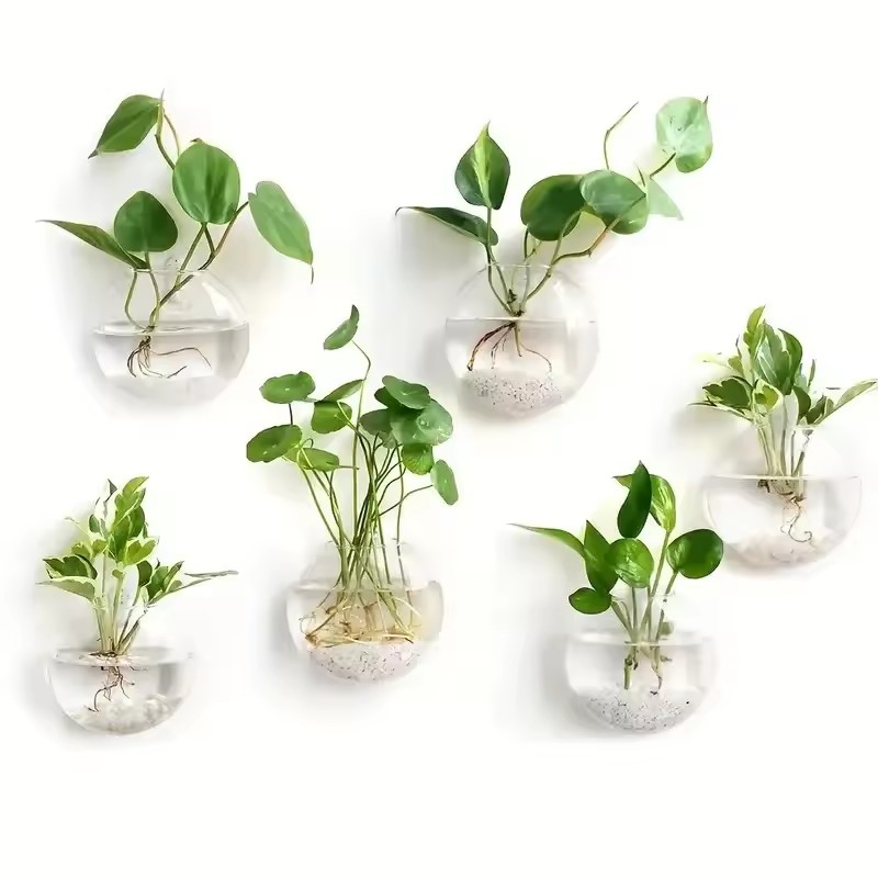 Lot de 2/4/6 terrariums muraux - Self-Watering Planter avis et prix