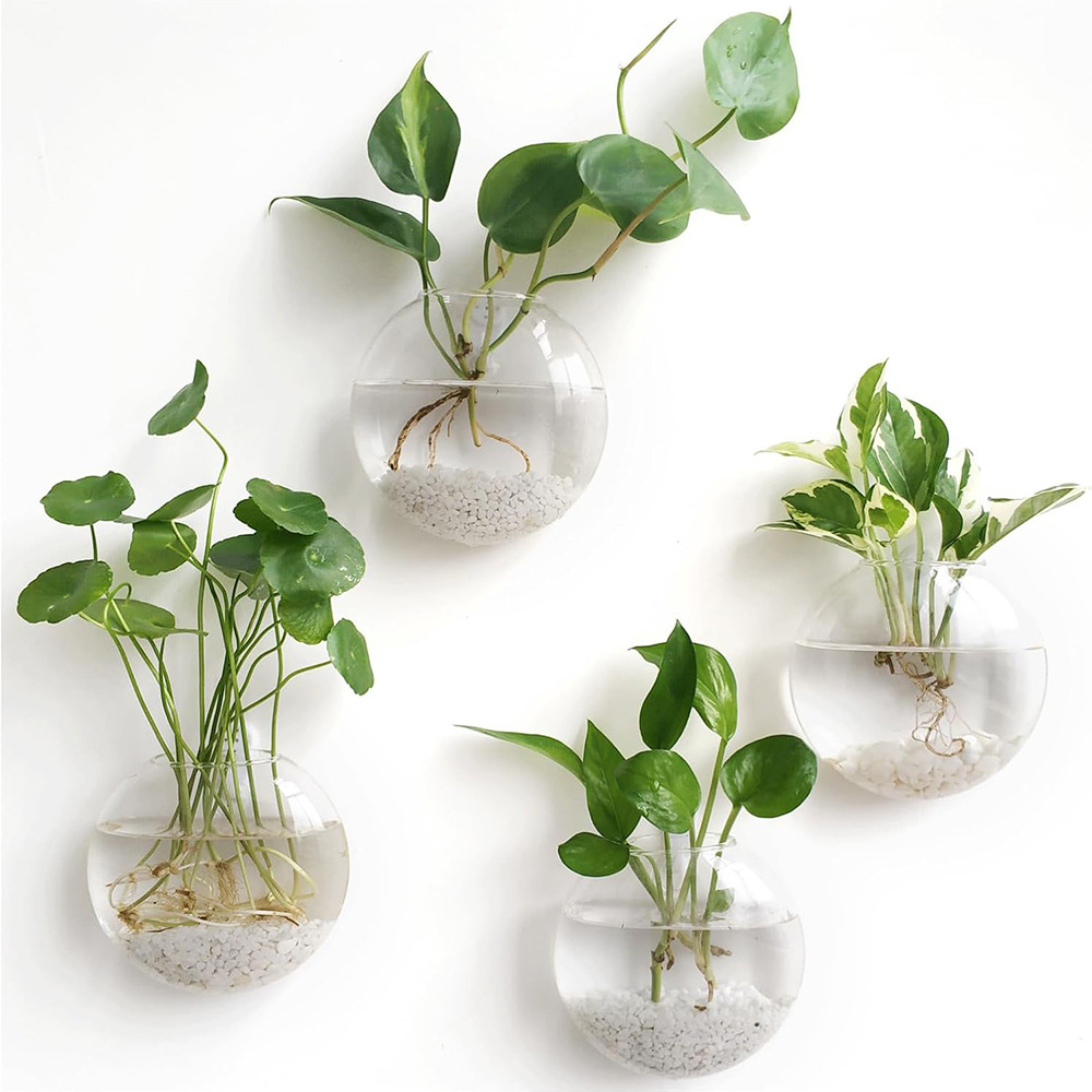 Lot de 2/4/6 terrariums muraux - Self-Watering Planter avis et prix