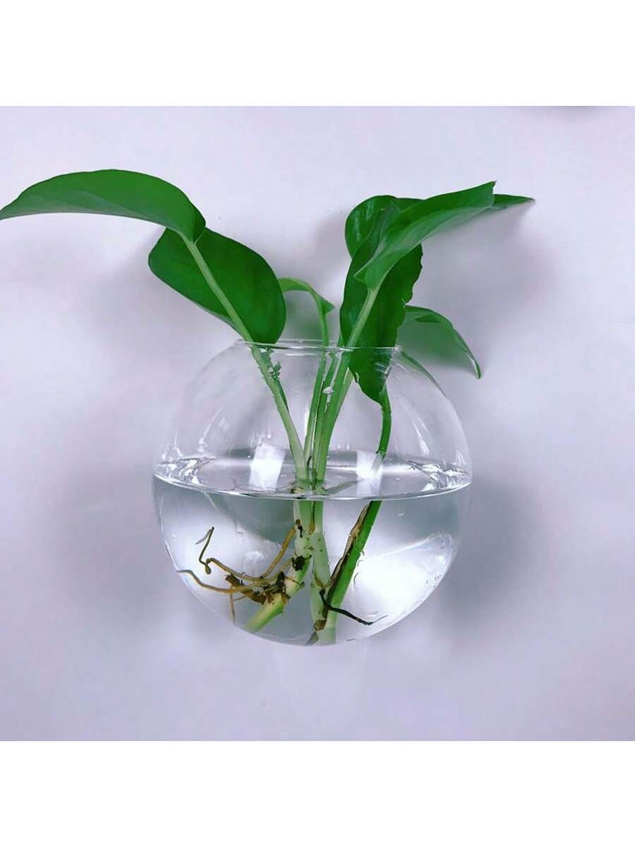 Lot de 2/4/6 terrariums muraux - Self-Watering Planter avis et prix