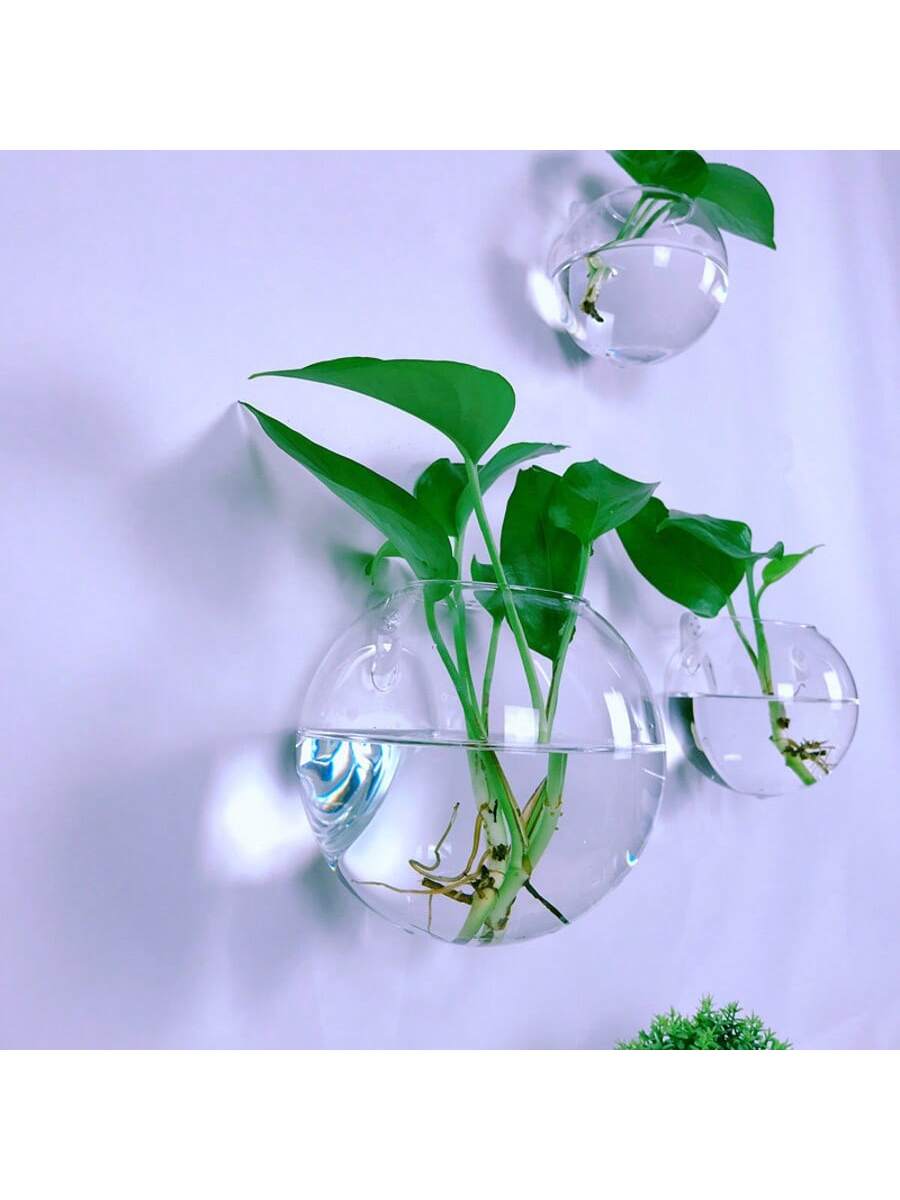 Lot de 2/4/6 terrariums muraux - Self-Watering Planter avis et prix