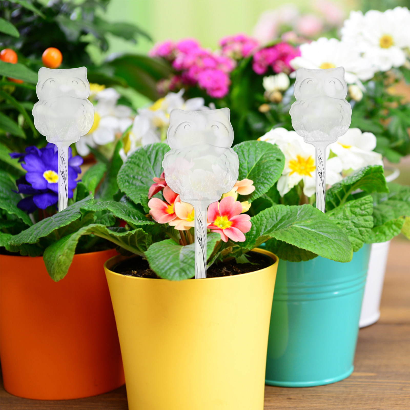 4 dispositifs d'arrosage autom - Automatic Plant Waterer avis et prix