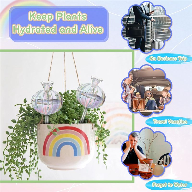 AA94 – Ampoules d’arrosage pou - Self-Watering Planter avis et prix